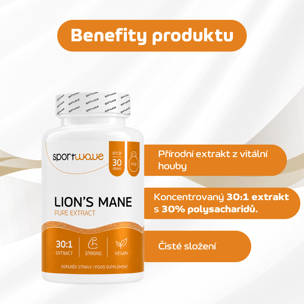 lions mane slozeni_